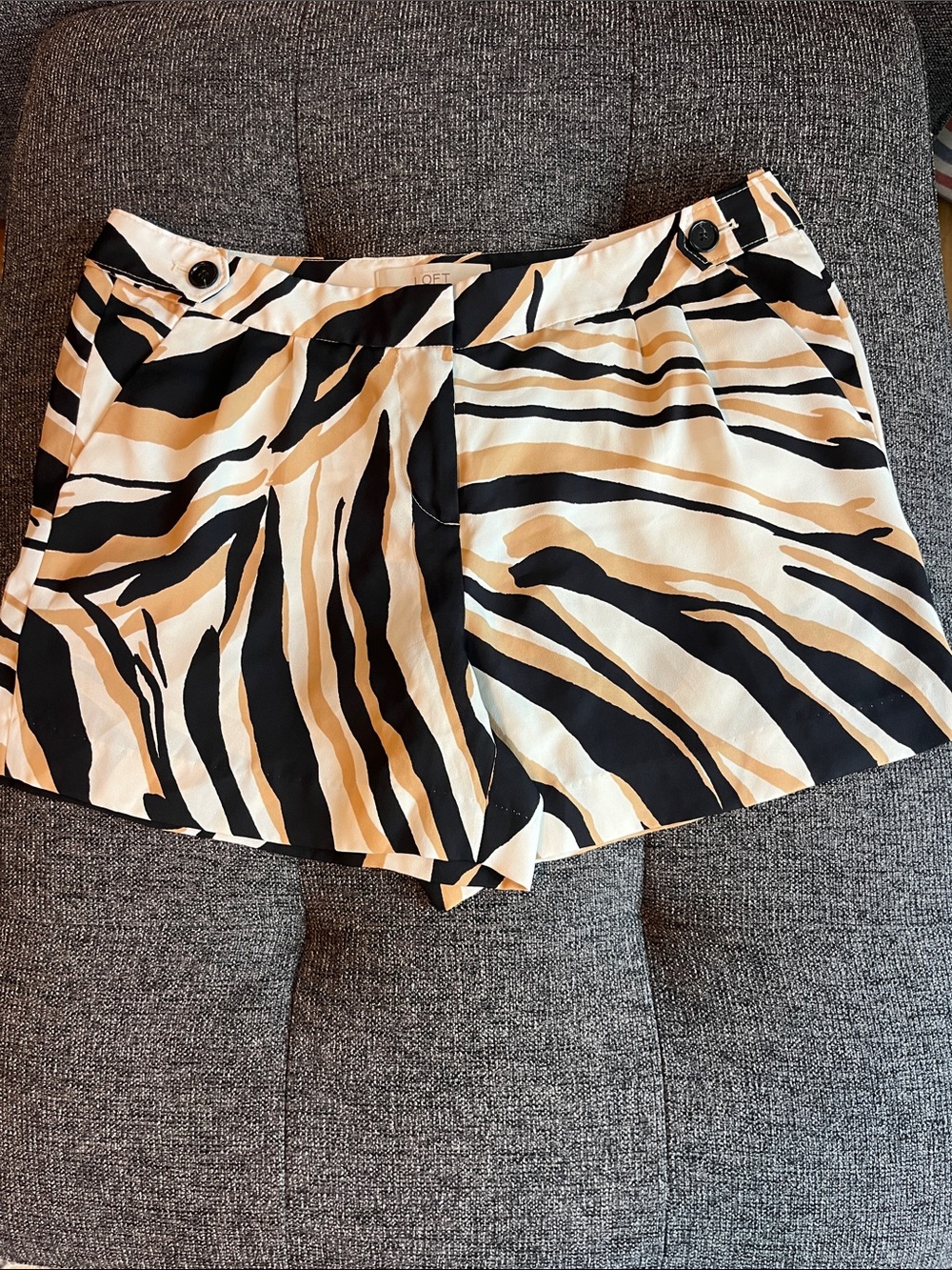 LOFT Zebra-Print Shorts in Black & Cream